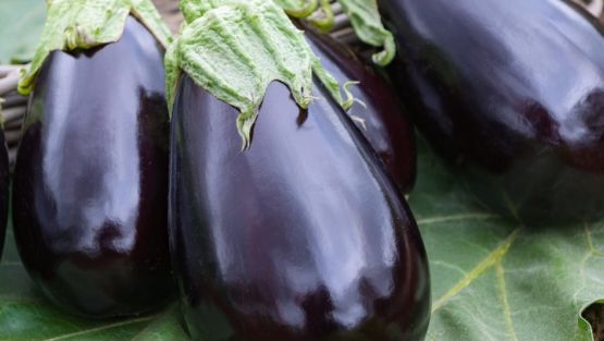 aubergine sur feuille