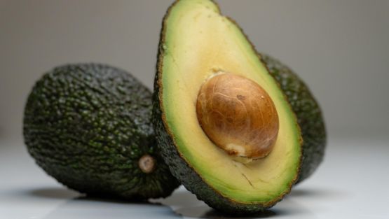 avocat ouvert
