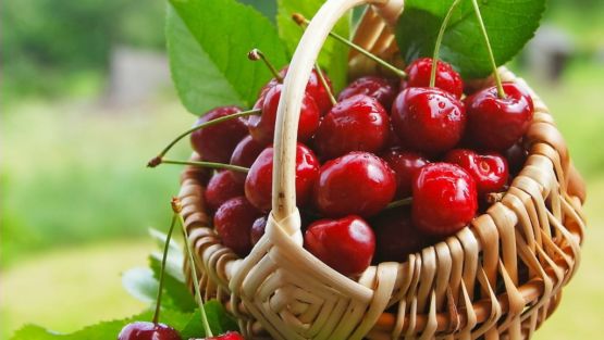 cerises