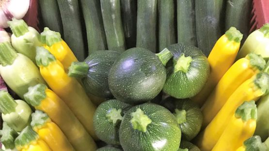 courgettes multicouleurs