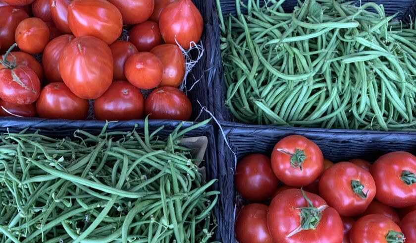 haricots tomates