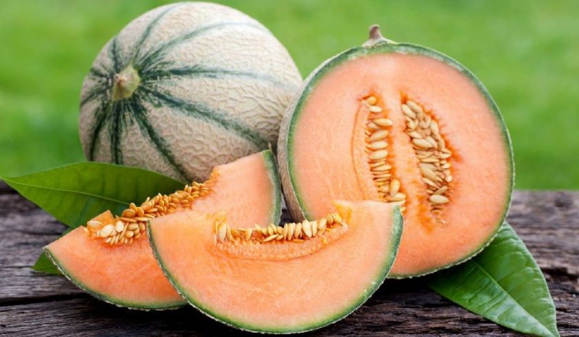 melon