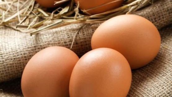 oeufs