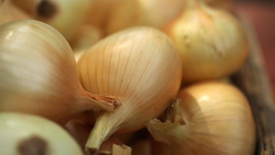 oignons doux