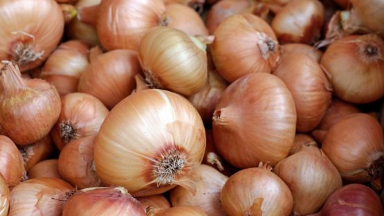 oignons paille