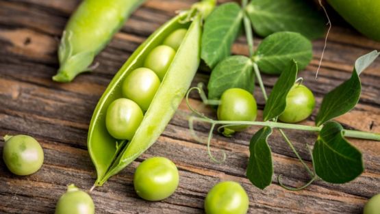 petit pois