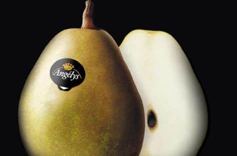 poire angelys fond noir