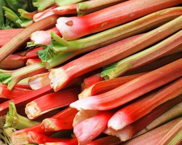 rhubarbe