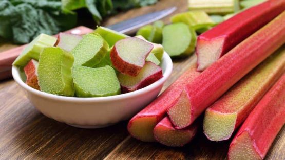 rhubarbes